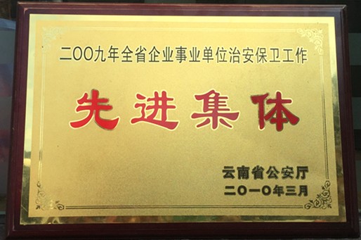 2009年全省企业事业单位治安保卫工作先进集体