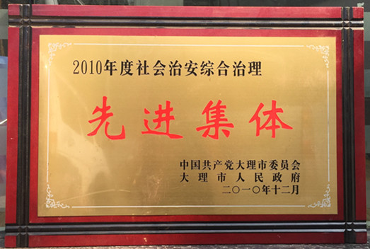 2010年度社会治安综合治理先进集体