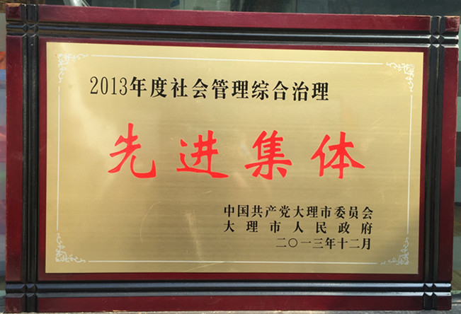 2013年度社会管理综合治理先进集体