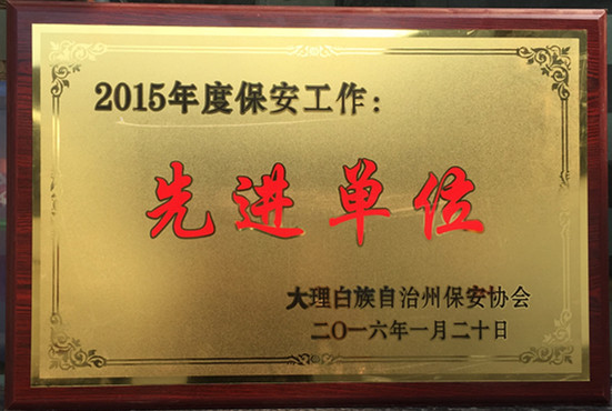 2015年度保安工作先进单位