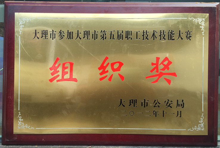 大理市第五届职工技术技能大赛组织奖